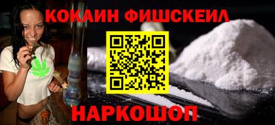 гашик Моздок