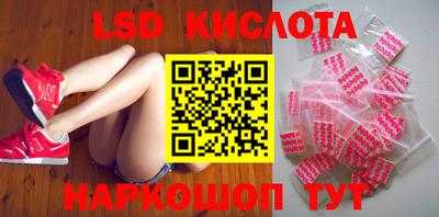 гашик Моздок