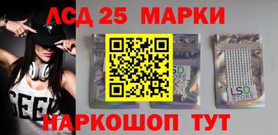 гашик Моздок