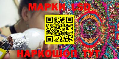 гашик Моздок