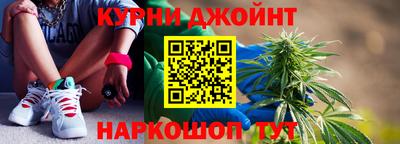 гашик Моздок