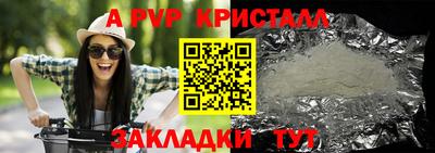 гашик Моздок