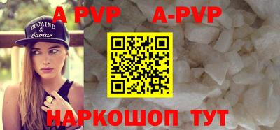 гашик Моздок