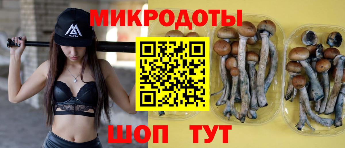 Псилоцибиновые грибы мицелий  купить наркотик  Шадринск  Вход с VPN 