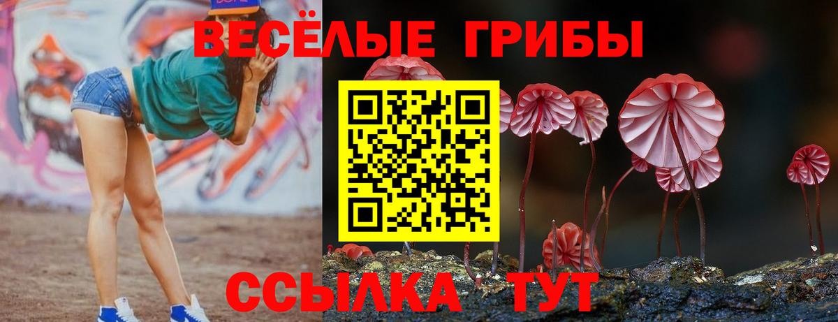 Галлюциногенные грибы Cubensis Шадринск
